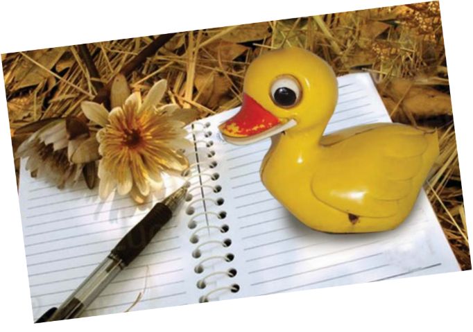 लेख्न सिकाउन सकिन्छ